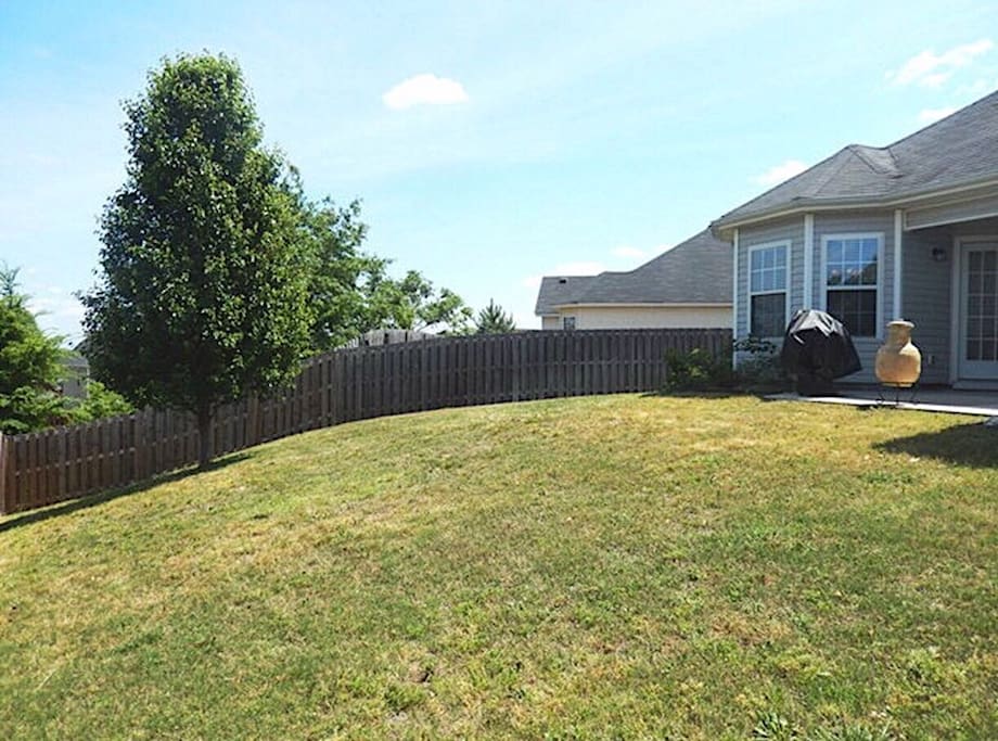 Large back yard