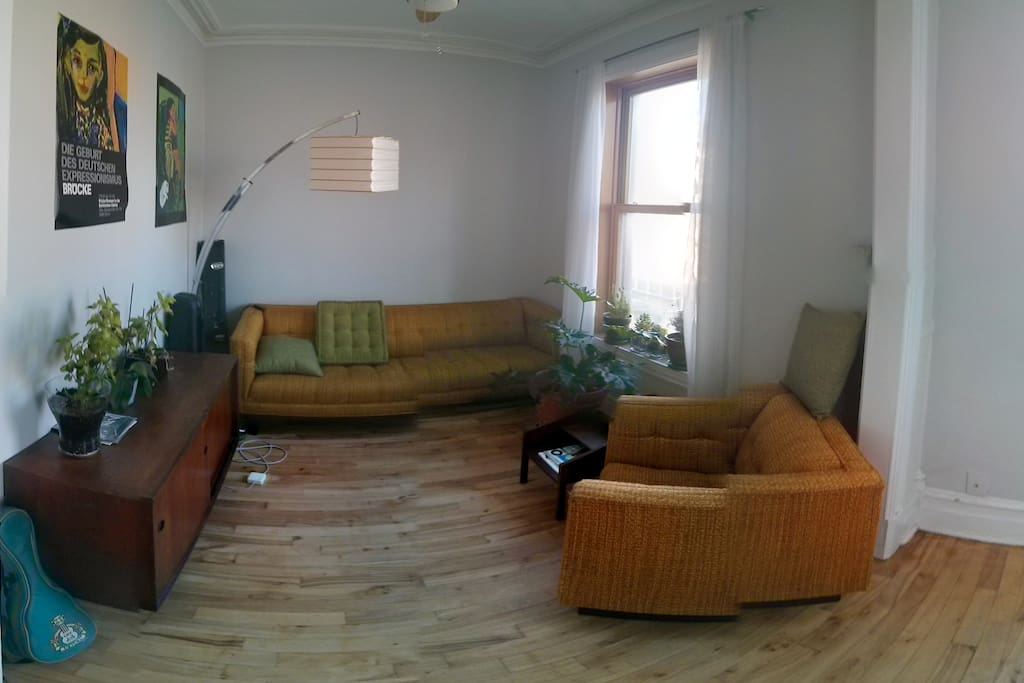 Salon avant, fauteuils vintage, cactus et table tournante pour les amoureux de musique.
