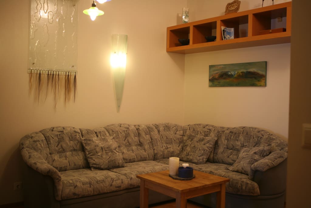 The living room. You can use the sofa as a sleeping couch.