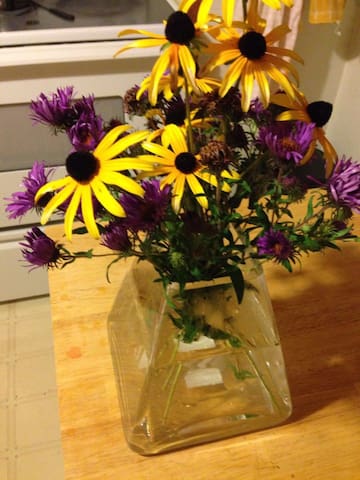 Listing in New Haven-Milford