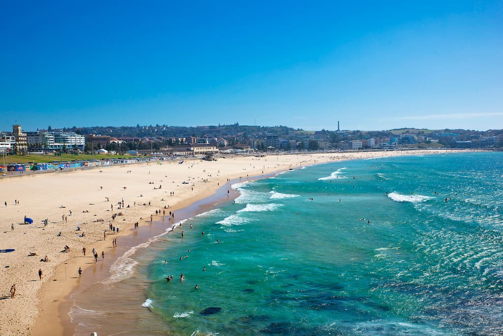 Bondi Beach (Actual View from balcony)