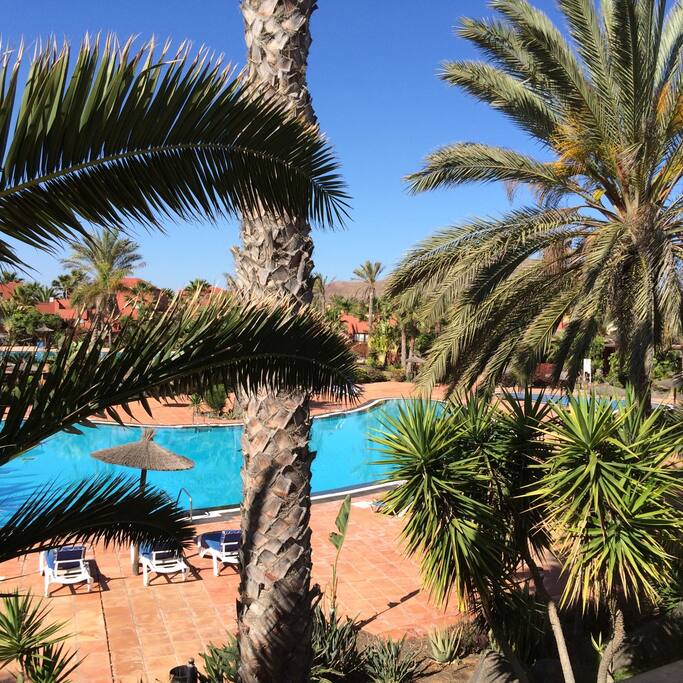 Pool view