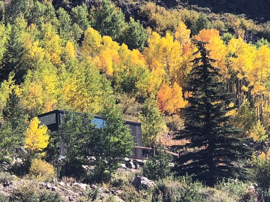 Tiny home in Fall