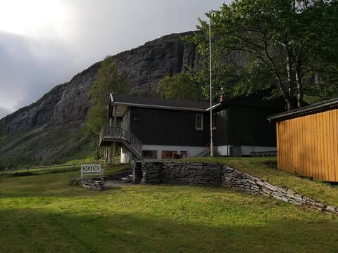 rødøy singel