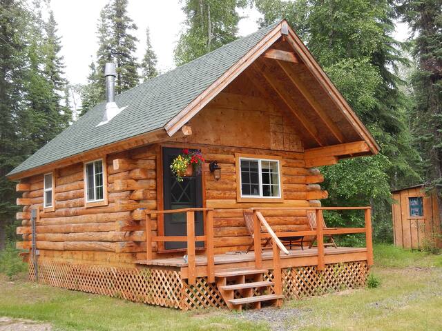 Meadow Cabin - Aurora above, Wilderness in reach