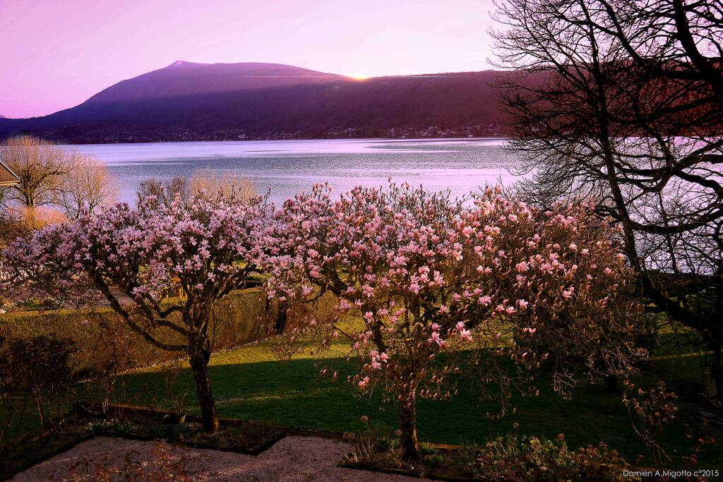 vue sur le lac