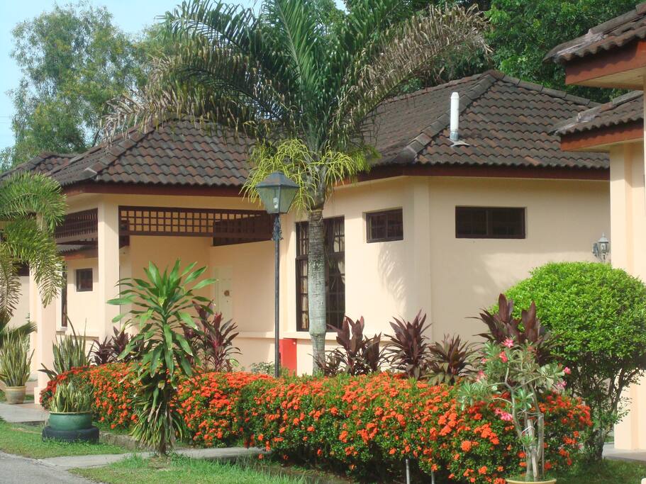 Side view