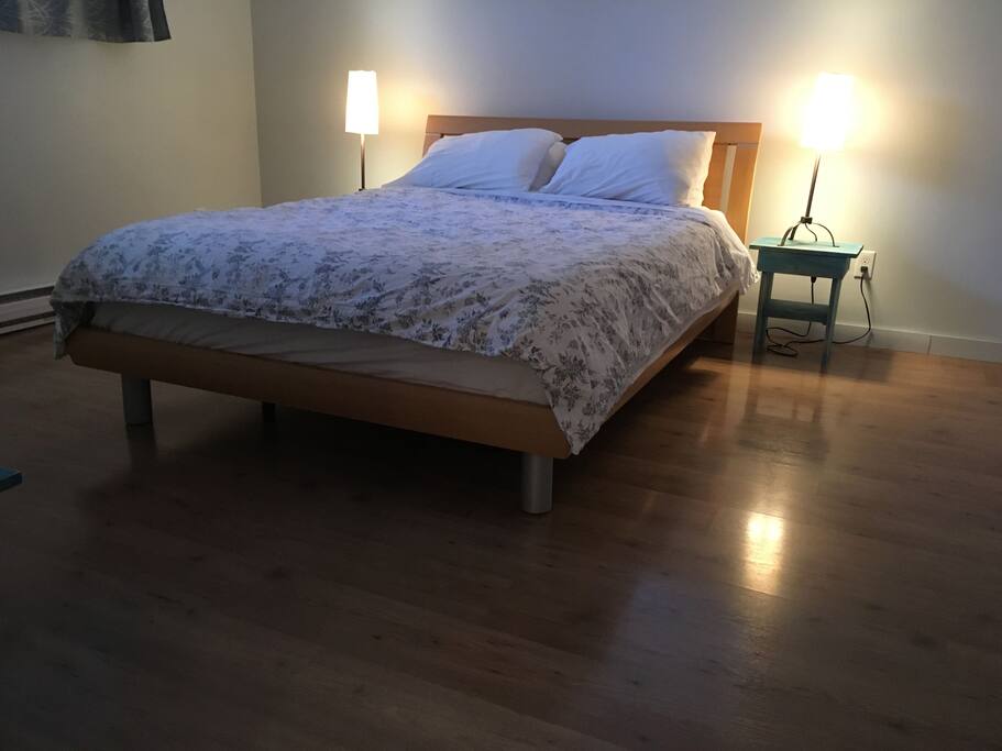 Large, bright and quiet bedroom