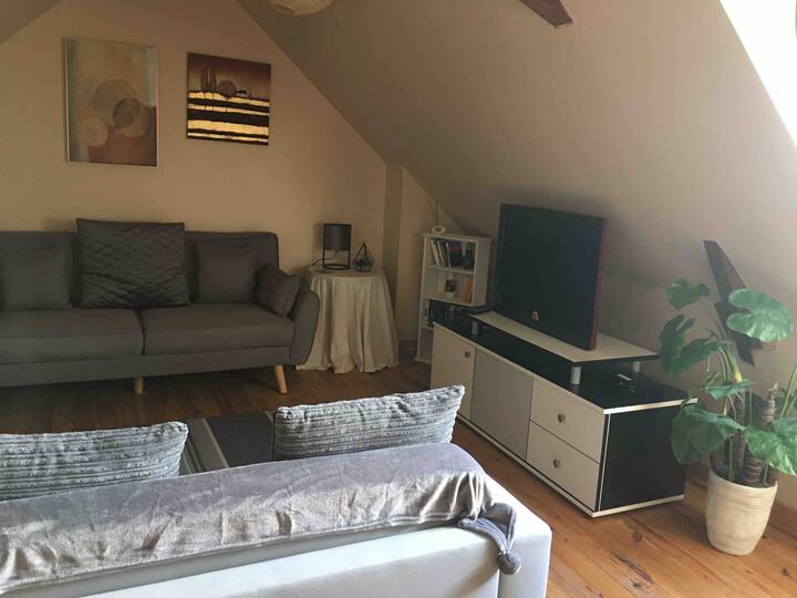 Salon avec télévision, lecteur de DVD, canapé -lit. 