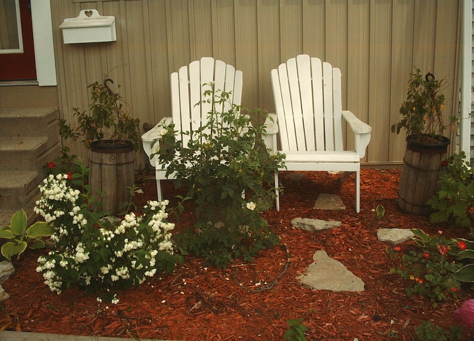 Detail of the front yard garden with mock orange bush.