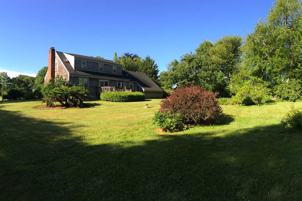 Pan from the northeast