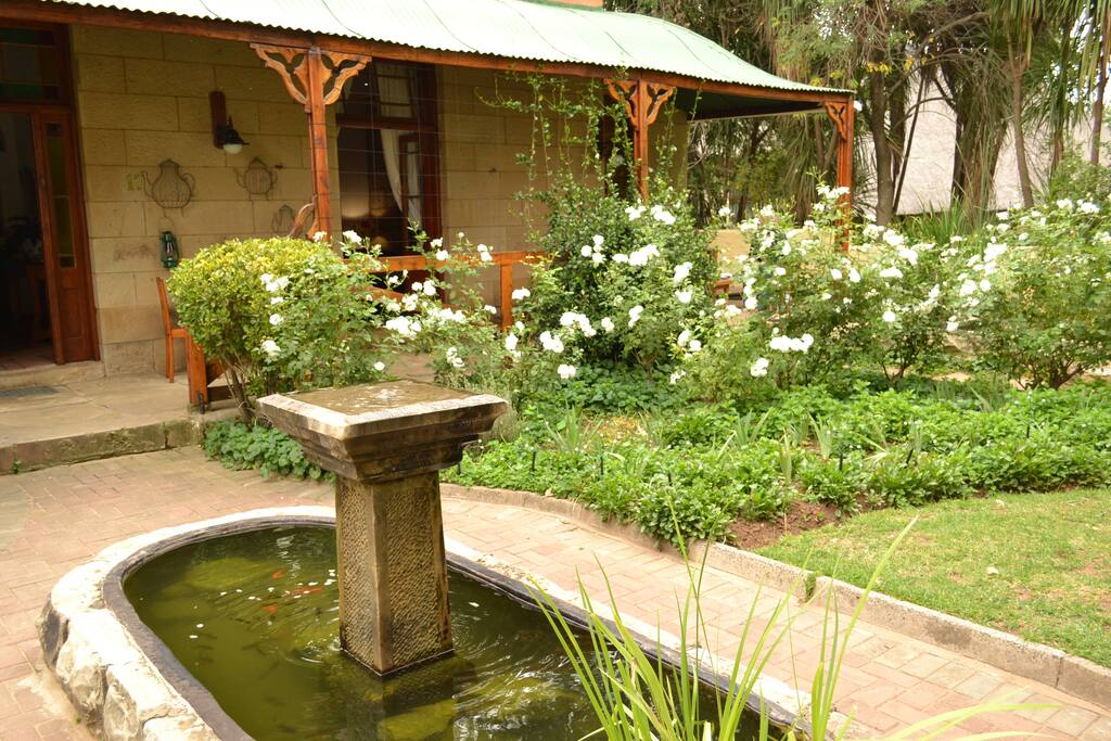A small part of the garden including the Jasmine that grows and flowers in the summer bathing the house in a pleasant smell.