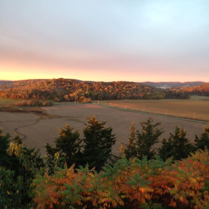 Fall view.