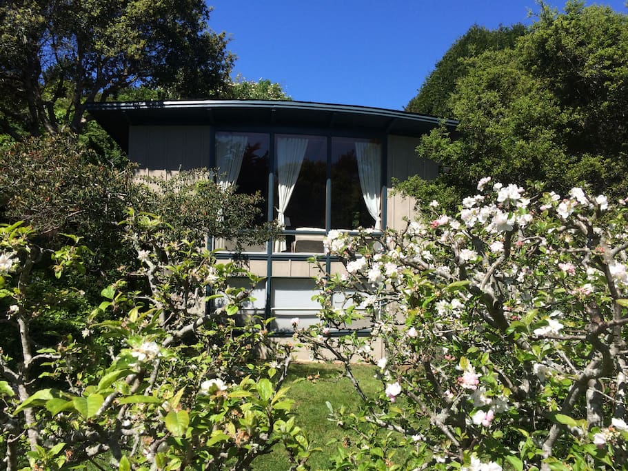 View of house from apple orchard in bloom!