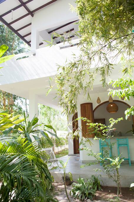 Bamboo on ground floor