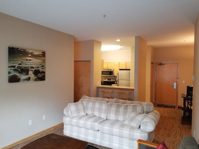 Spectacular 2BR/2BA Apartment in Minneapolis