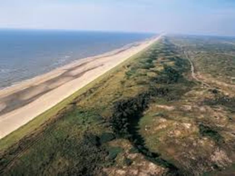 kust en duinen