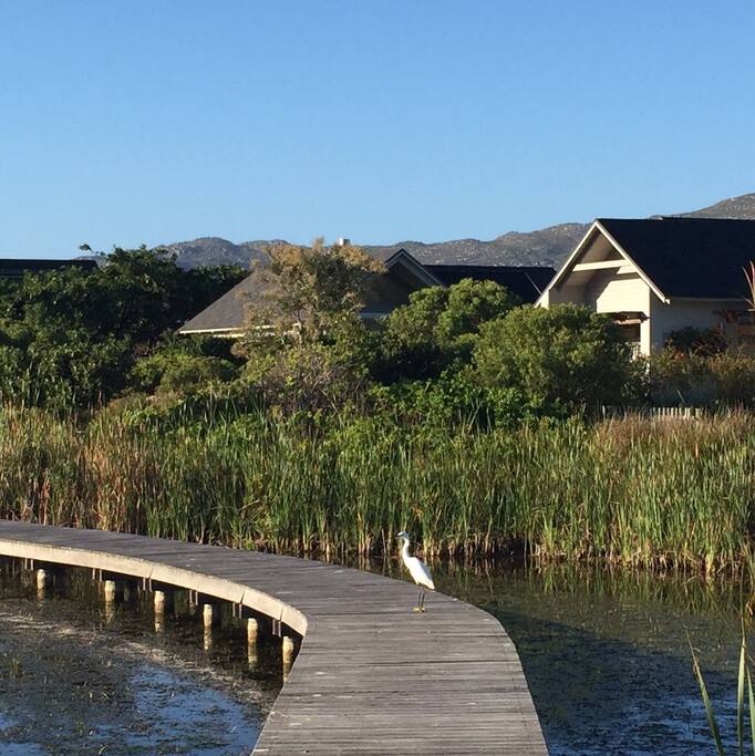 Over 5km of walks around the estate with lovely bird life to be seen.