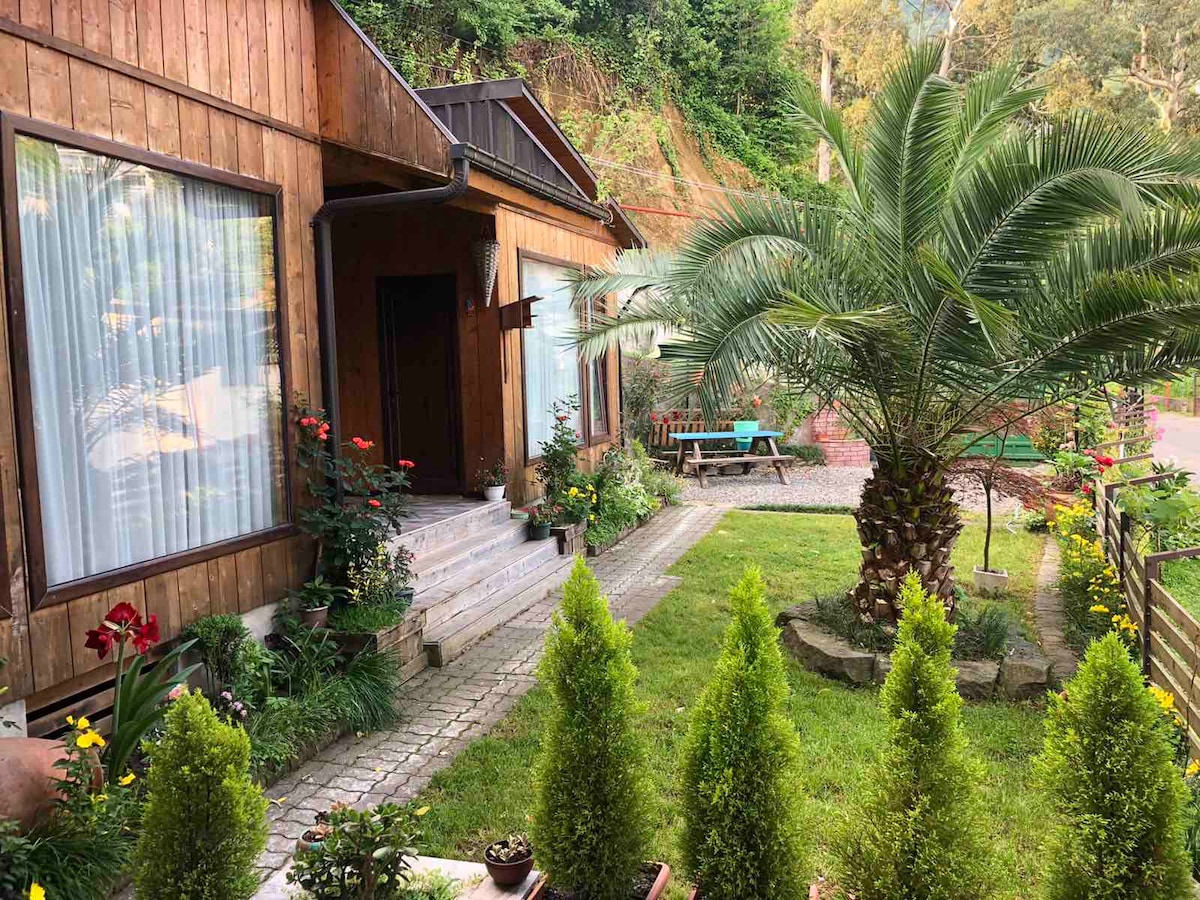 The wooden cottage features an inviting entrance surrounded by lush greenery and colorful flowers. A pathway leads to the door, framed by tall hedges and a palm tree. A patio area with a table can be seen in the background, creating an outdoor retreat.