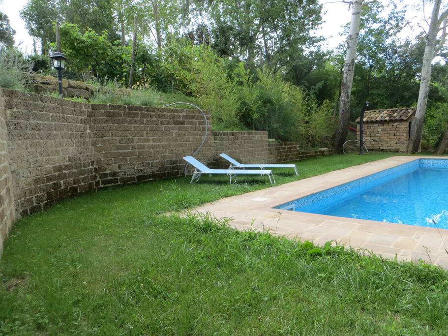 the pool