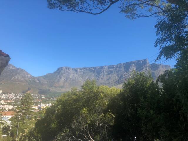 Victorian house with spectacular views gallery image 2