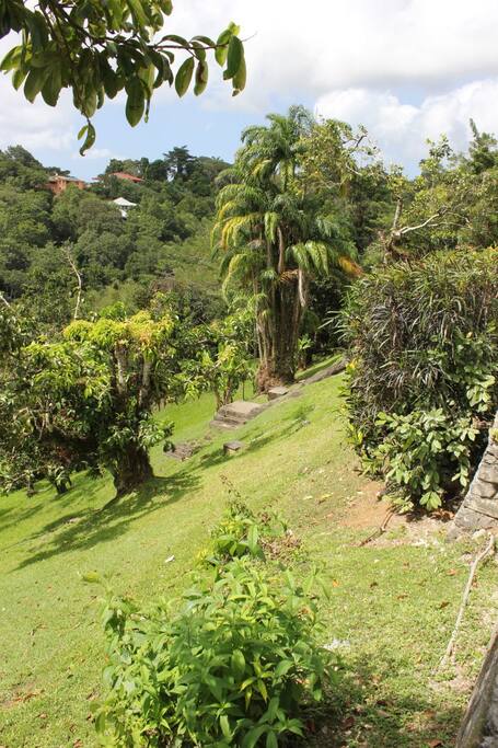 Un jardin à votre disposition