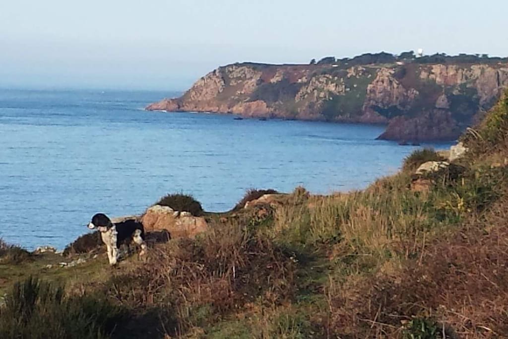 Hound walk Portelet common overlooking St Brelade