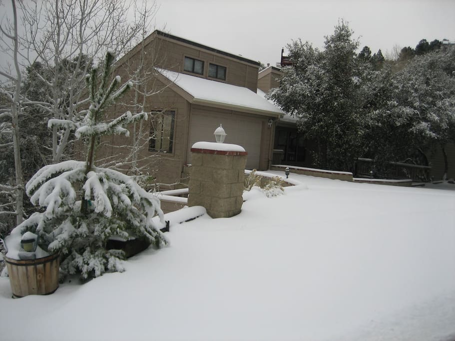 winter wonderland