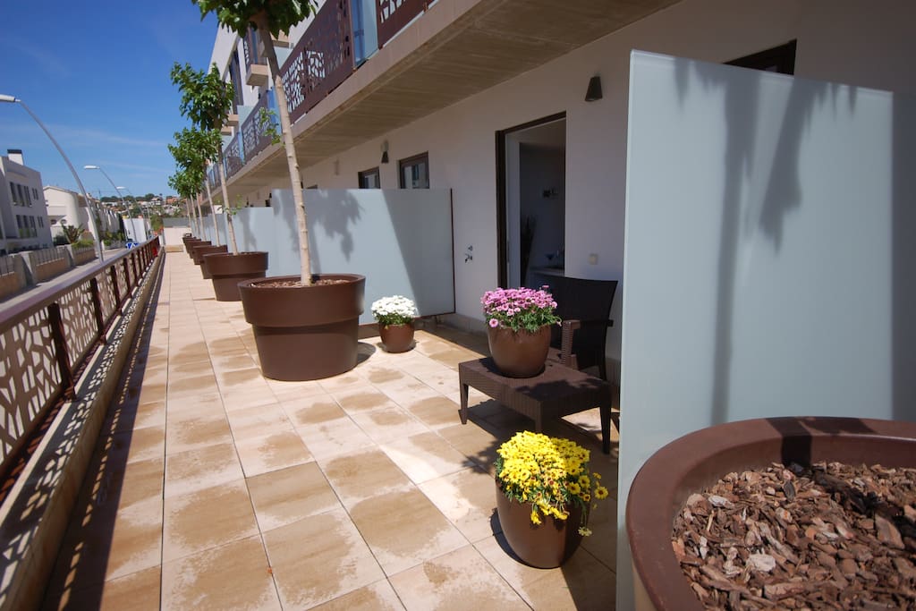 Terraza