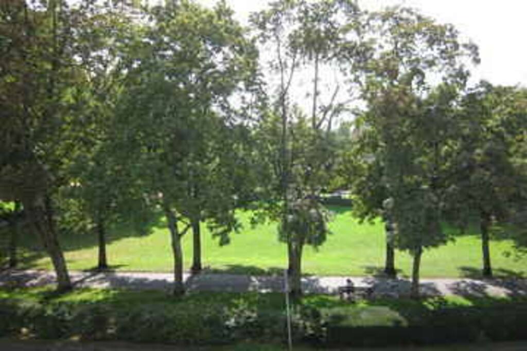 Park gegenüber Haus