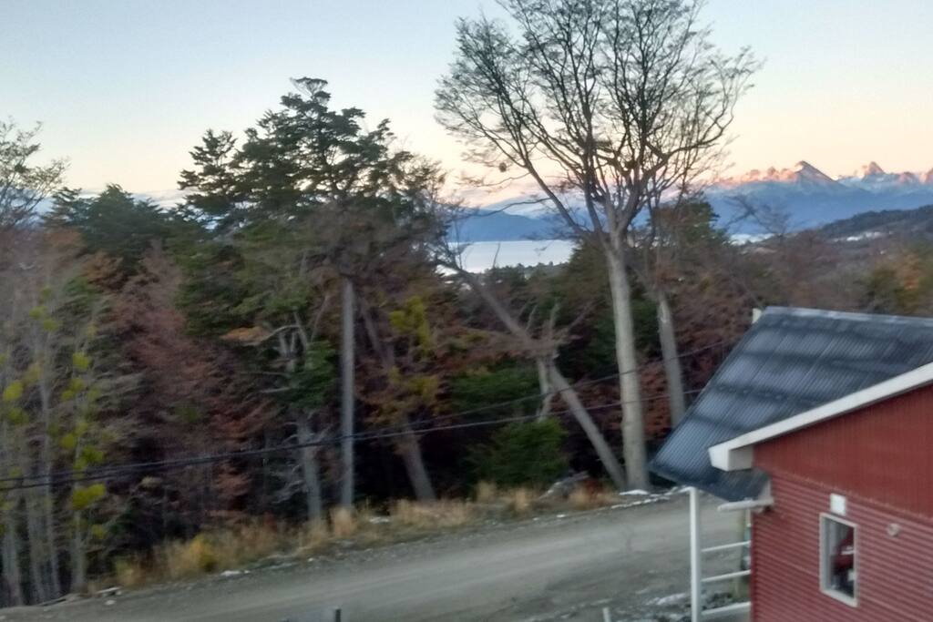 La vista desde el cuarto de huéspedes.