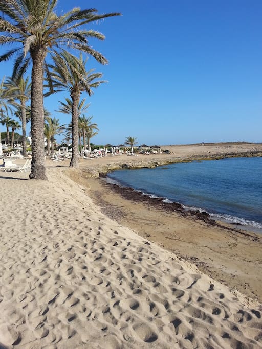Beach at Paphos