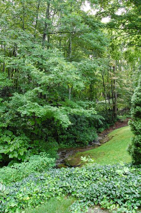 Serene backyard stream