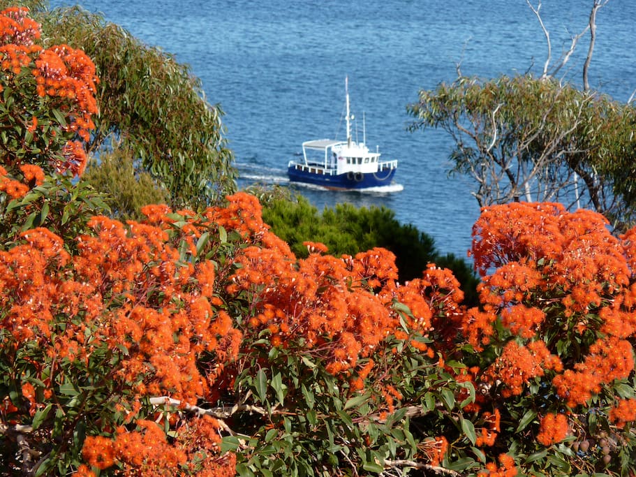Beach House at St Helens Private waterfront views. Bungalows for Rent