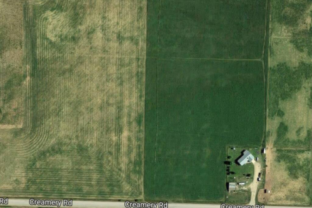 Field where tents can stay