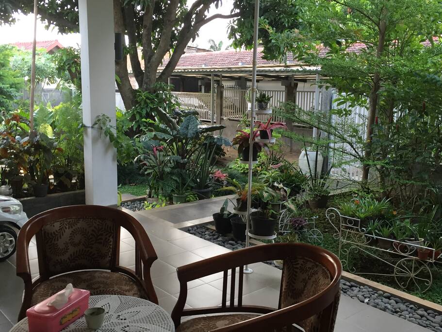 Terrace with garden view