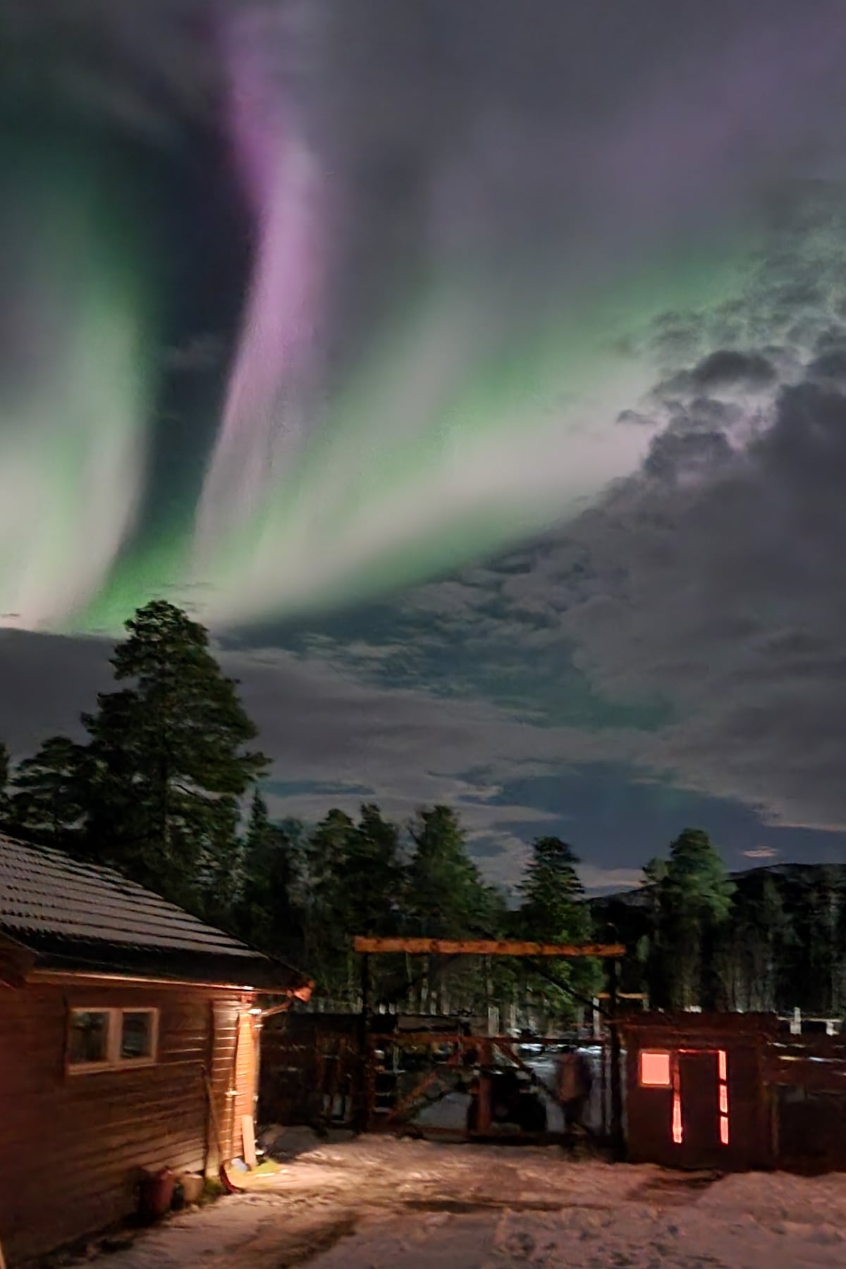 The image captures a vibrant display of the Northern Lights illuminating the night sky. Shades of green and purple sweep across the clouds above a forested landscape, while a rustic cabin is visible in the foreground, surrounded by tall trees.