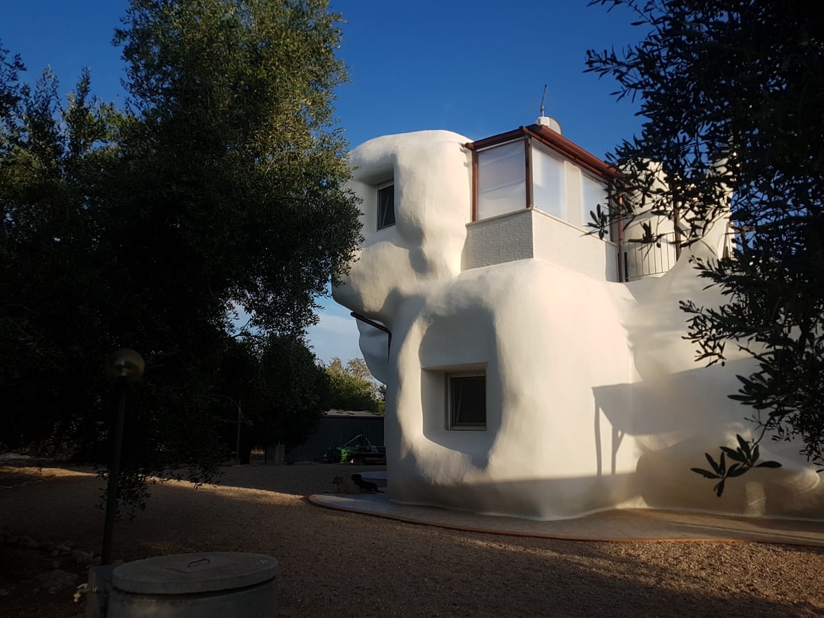 A unique, organically shaped house is enveloped in a soft, white exterior, contrasting with the natural greenery surrounding it. Large windows allow for ample light, and a glimpse of the outdoor area is visible, showcasing a serene, gravel pathway.