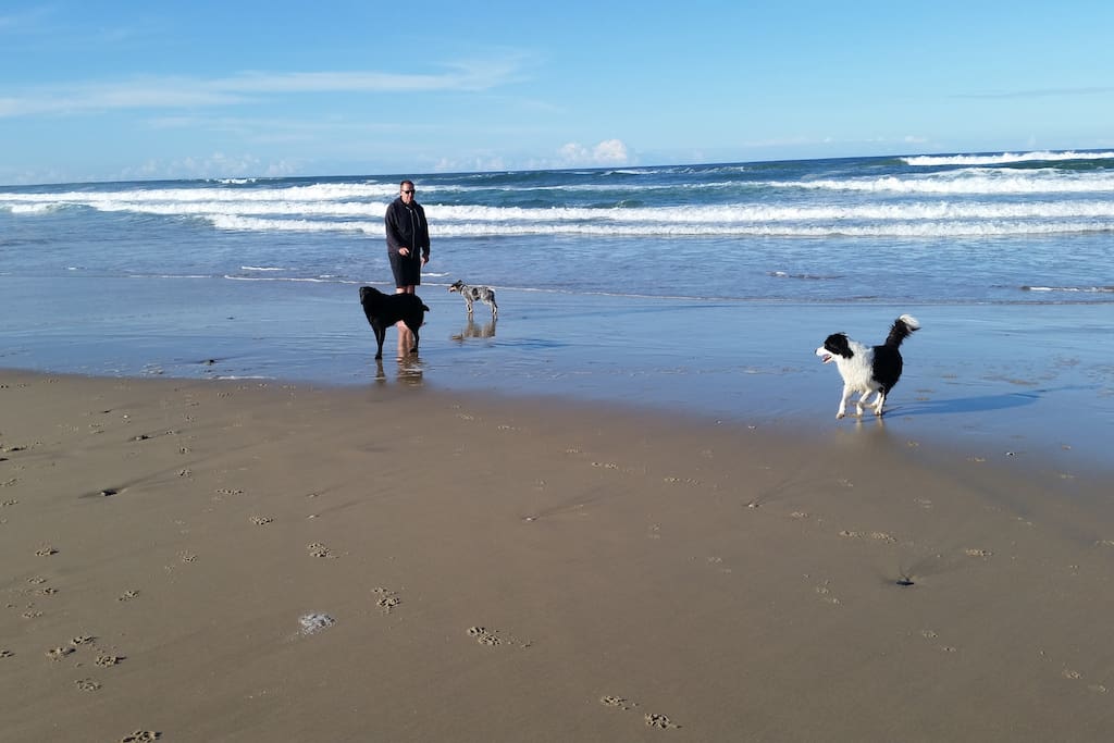 We are 12 minutes drive from beautiful dog friendly beaches