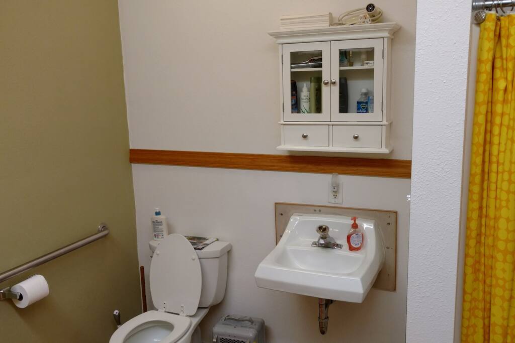 The toilet in the bath
