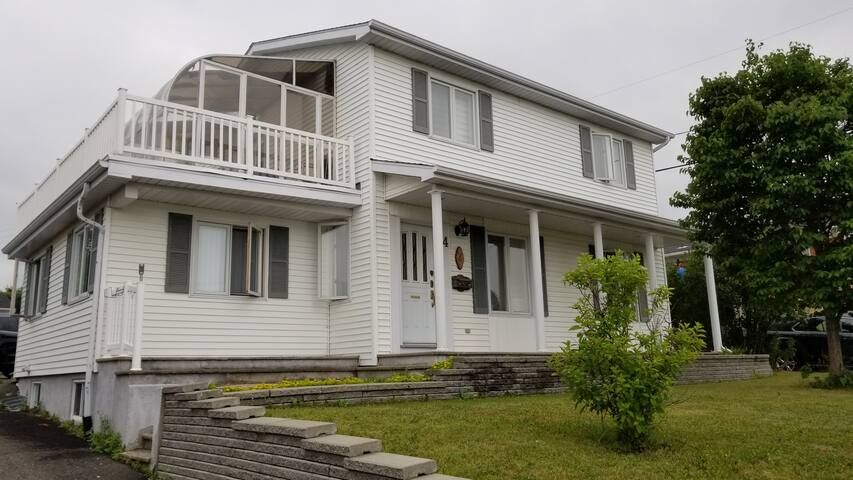 Chiot Adoptez Des Chiens Et Chiots Dans Lévis Petites