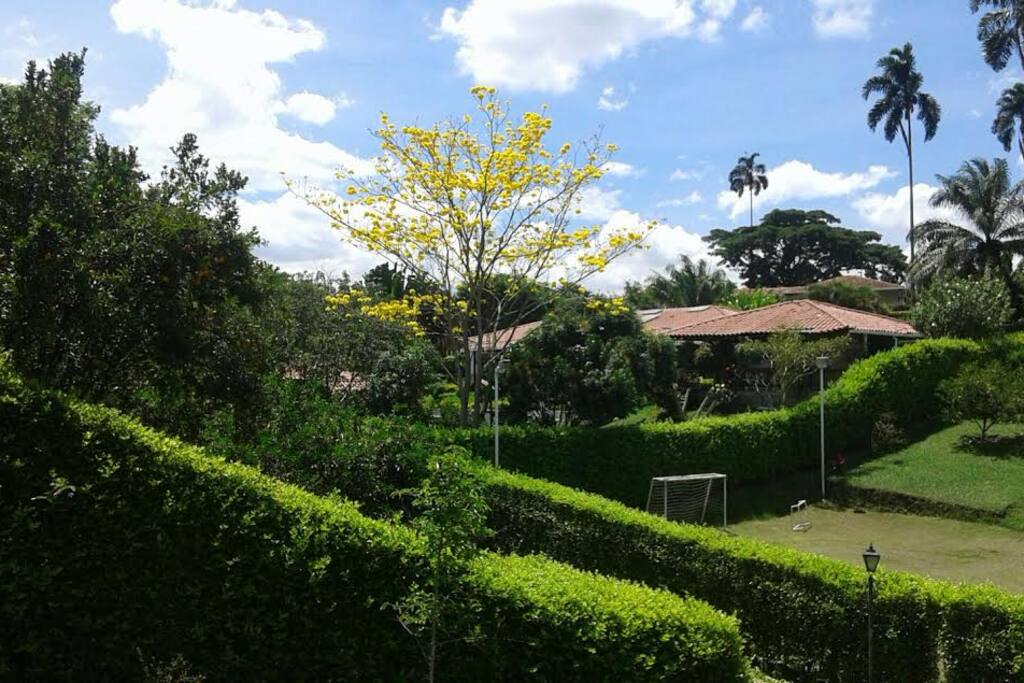 PAISAJE