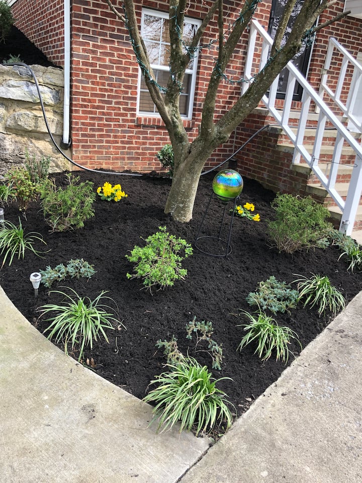 Top 26 Airbnb Vacation Rentals In Greeneville, Tennessee Updated 2024