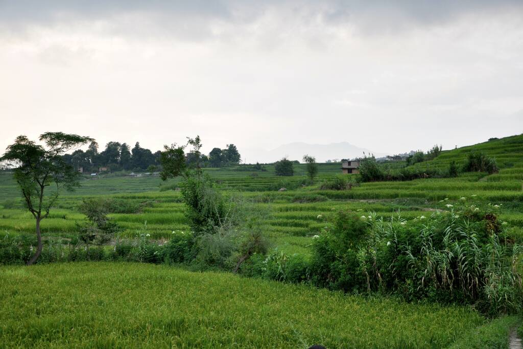 Nature at the gate of Kathmandu