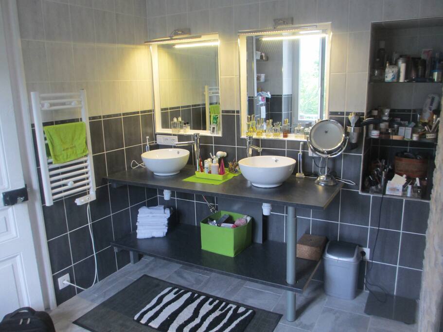 salle de bain (douche et baignoire balneo)