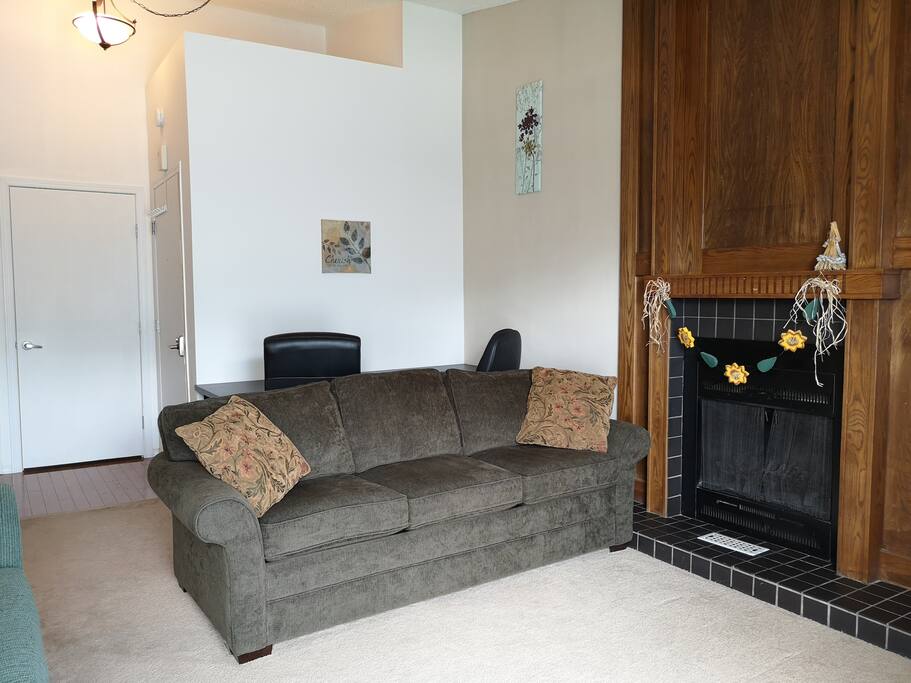 LIVING ROOM - Pull-out sofa bed (showing sofa)