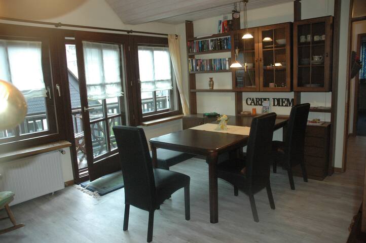 Zentral gelegene große Ferienwohnung in Willingen