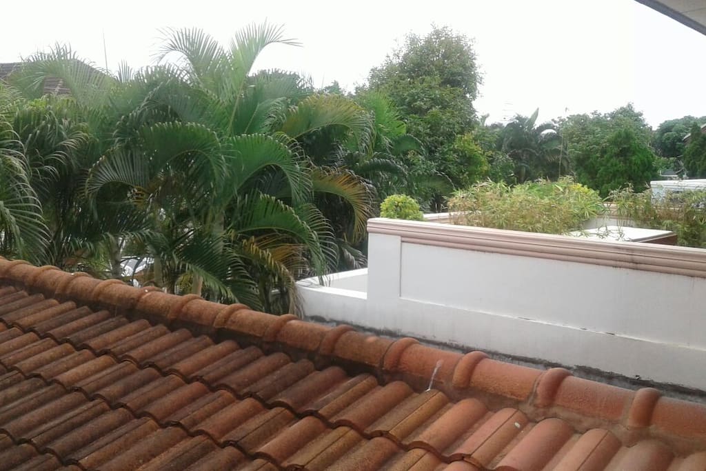 beautiful terrace view