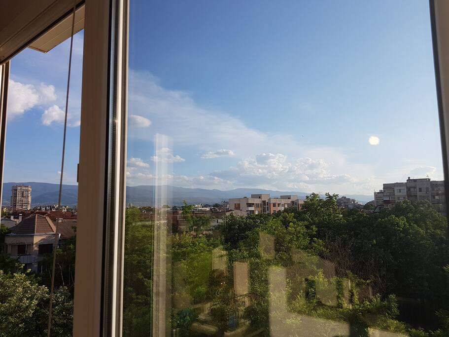 Window View
