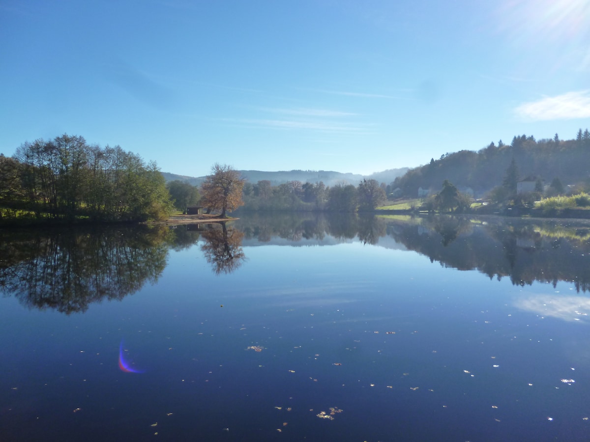 A serene lake is presented, with calm waters reflecting the surrounding trees and hillside under a clear blue sky. Soft light highlights the landscape, while patches of leaves float on the water's surface, enhancing the tranquil atmosphere.
